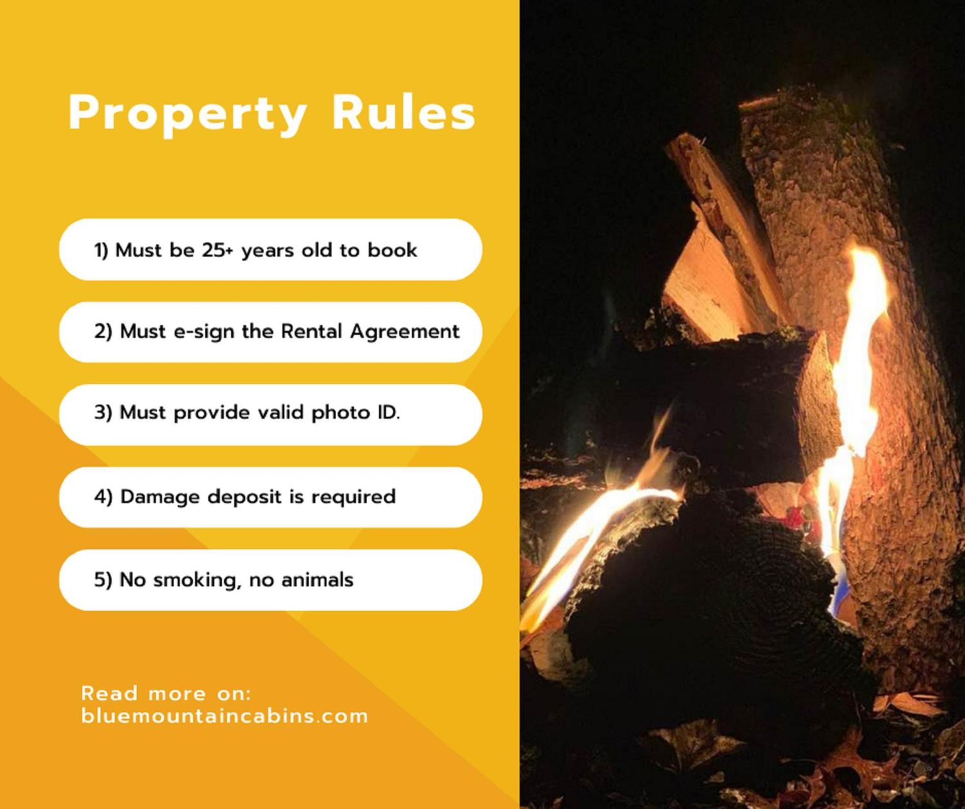 Ridge View Lodge Nature And Mountain View - Hot Tub - Firepit - Yard - Games جاتلينبرج المظهر الخارجي الصورة